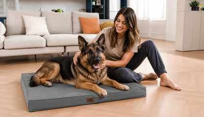 Cama Ortopédica para Perros - No es Vejez, es Dolor Articular